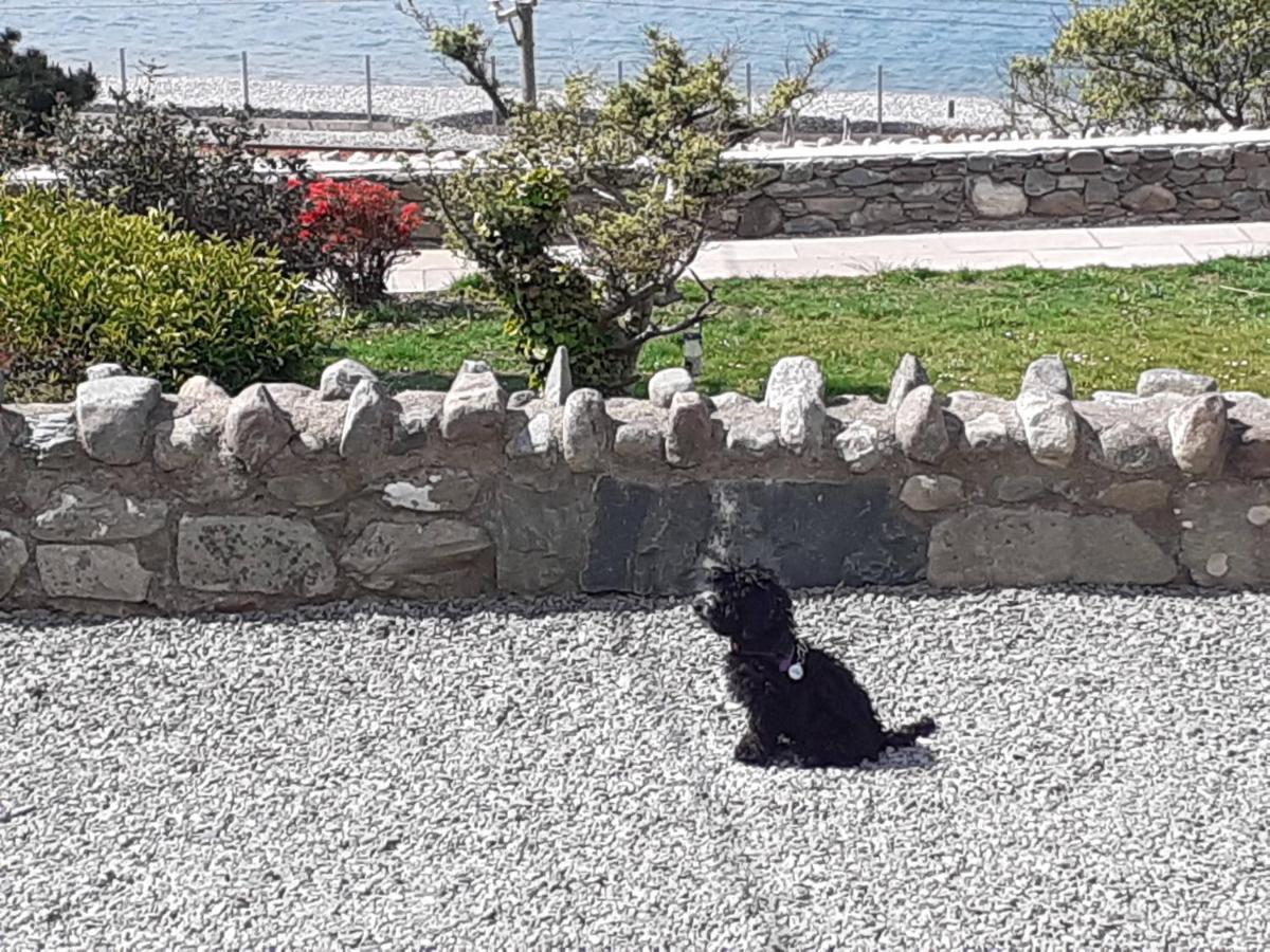 Talarfor Barmouth Villa Buitenkant foto