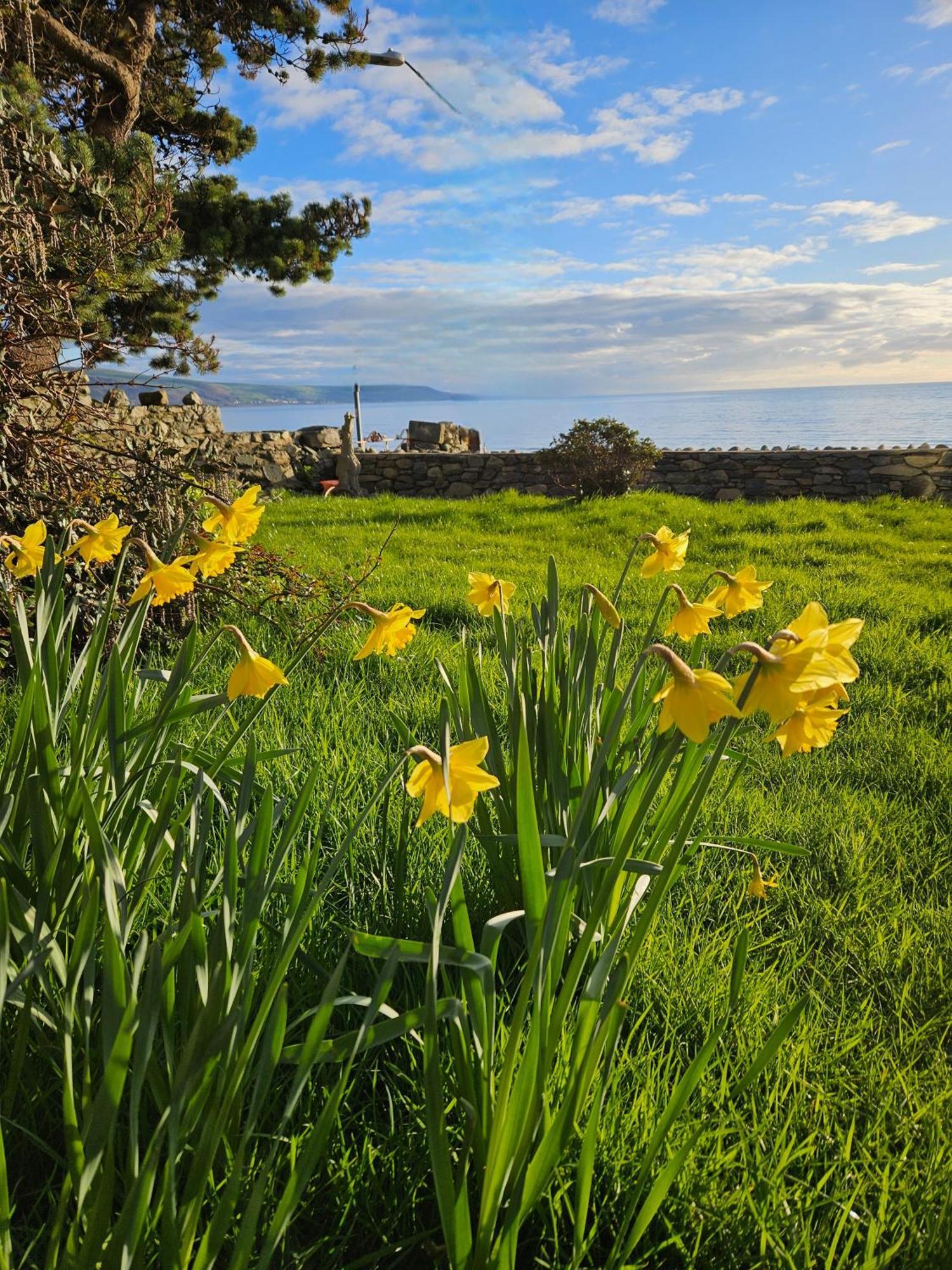 Talarfor Barmouth Villa Buitenkant foto